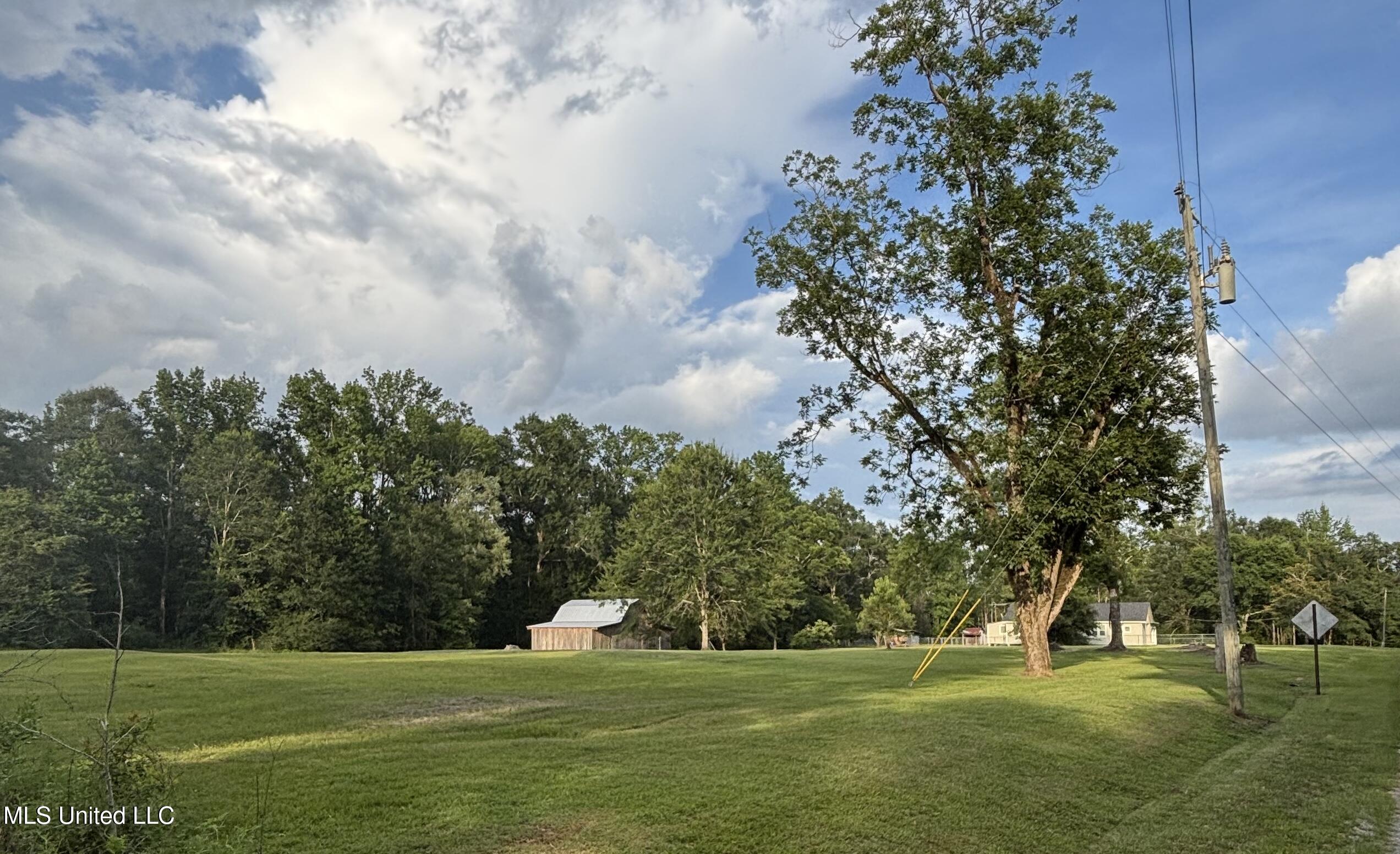 1425 East McHenry Road Perkinston, MS 39573 - Photo 4 of 22 IMG_4423