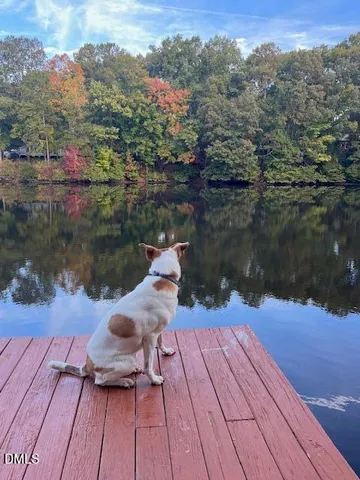 $385,000 | 901 Bridge Way, Raleigh, NC 27615