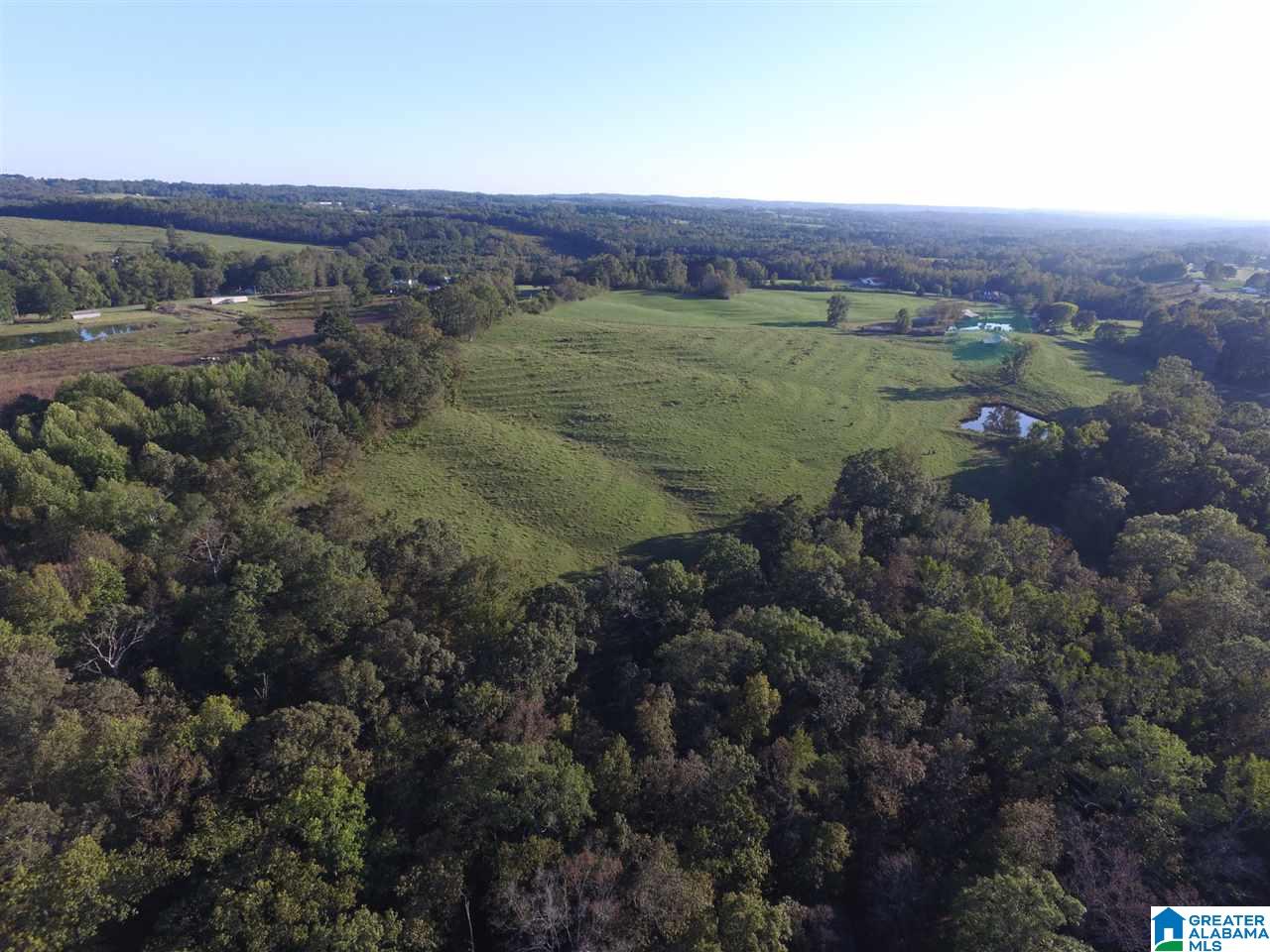 936 Daileys Chapel Road Oneonta, AL 35121 - Photo 30 of 36