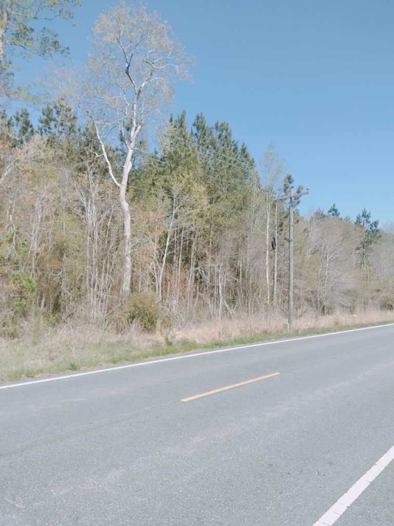 0 Mears Station Road Bloxom, VA 23308 - Photo 3 of 5