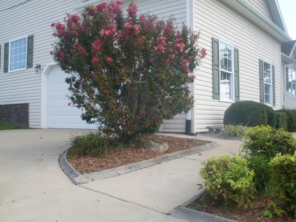 296 Anderson Street Limestone, TN 37681 - Photo 4 of 36 Photo 4