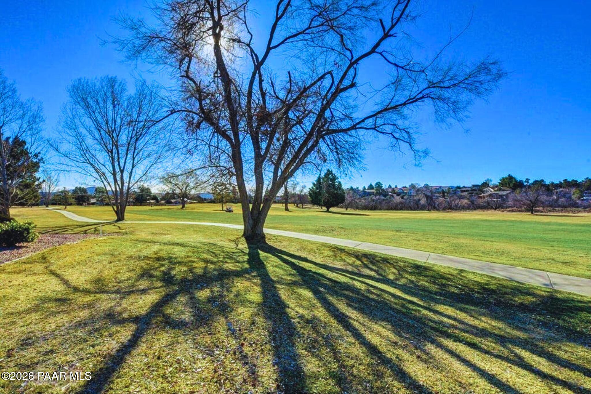 908 Rolling Green Road Dewey, AZ 86327 - Photo 5 of 13 a view of a yard with a large trees