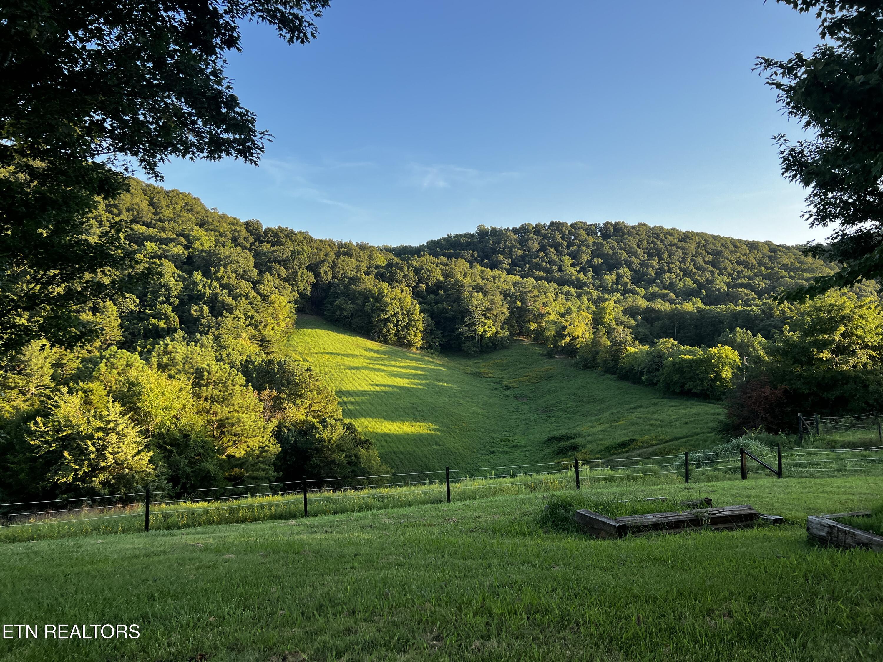 374 Doane Road New Market, TN 37820 - Photo 11 of 58 IMG_2871