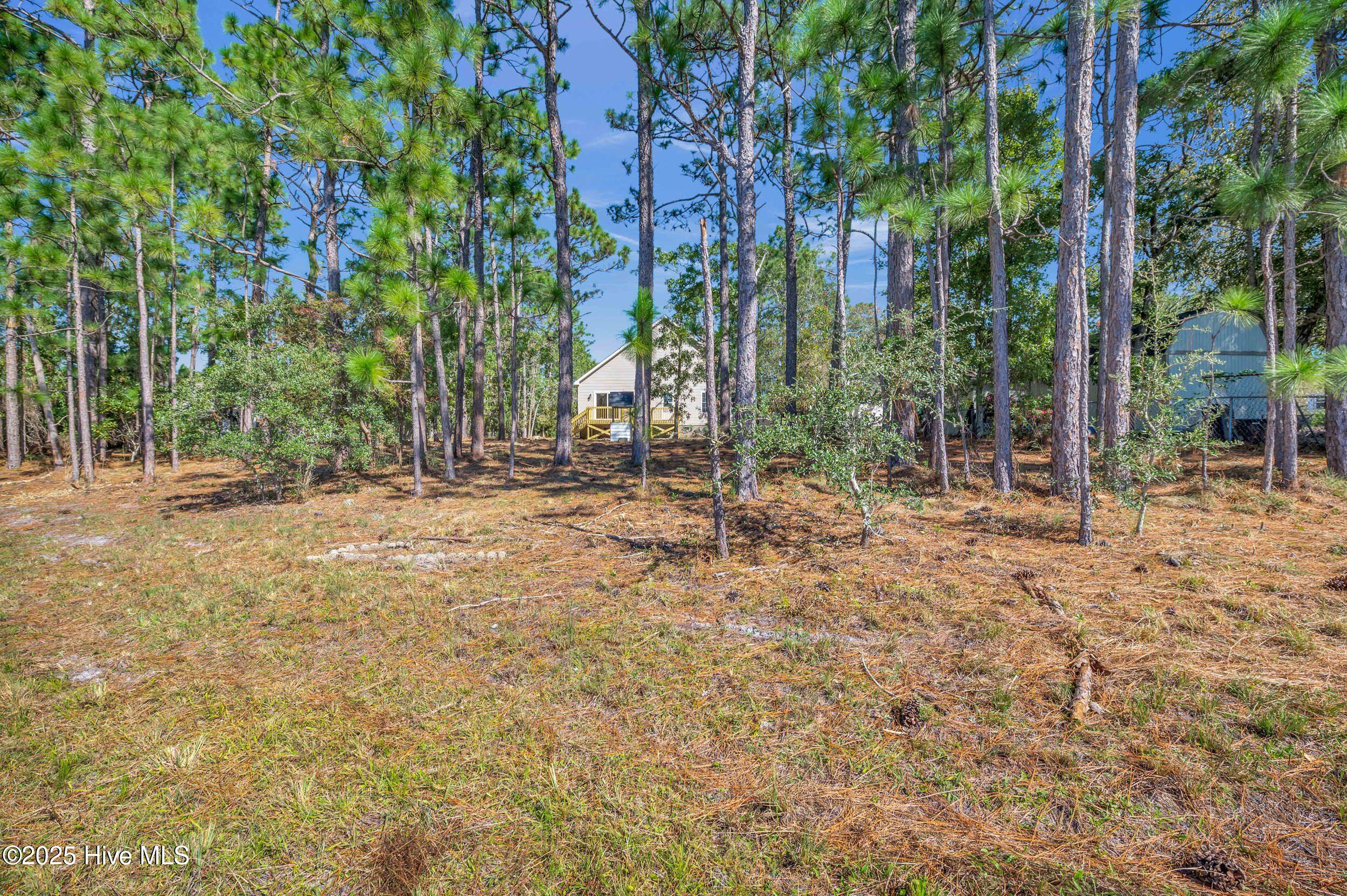 1040 Filmore Road Southport, NC 28461 - Photo 42 of 58 42_1040 filmore rd-00042