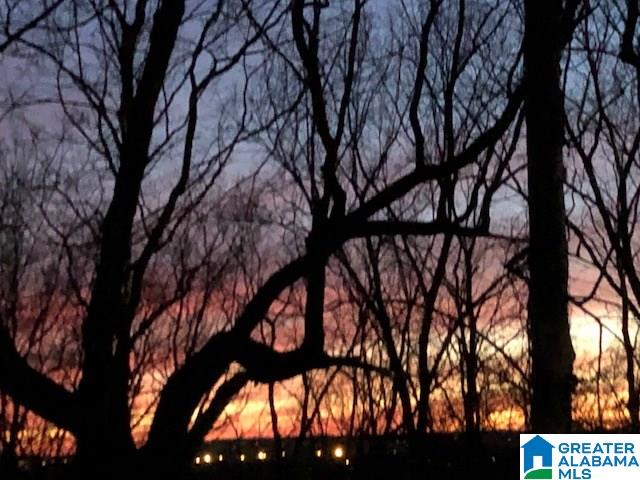 5374 Meadowbrook Road Birmingham, AL 35242 - Photo 8 of 32