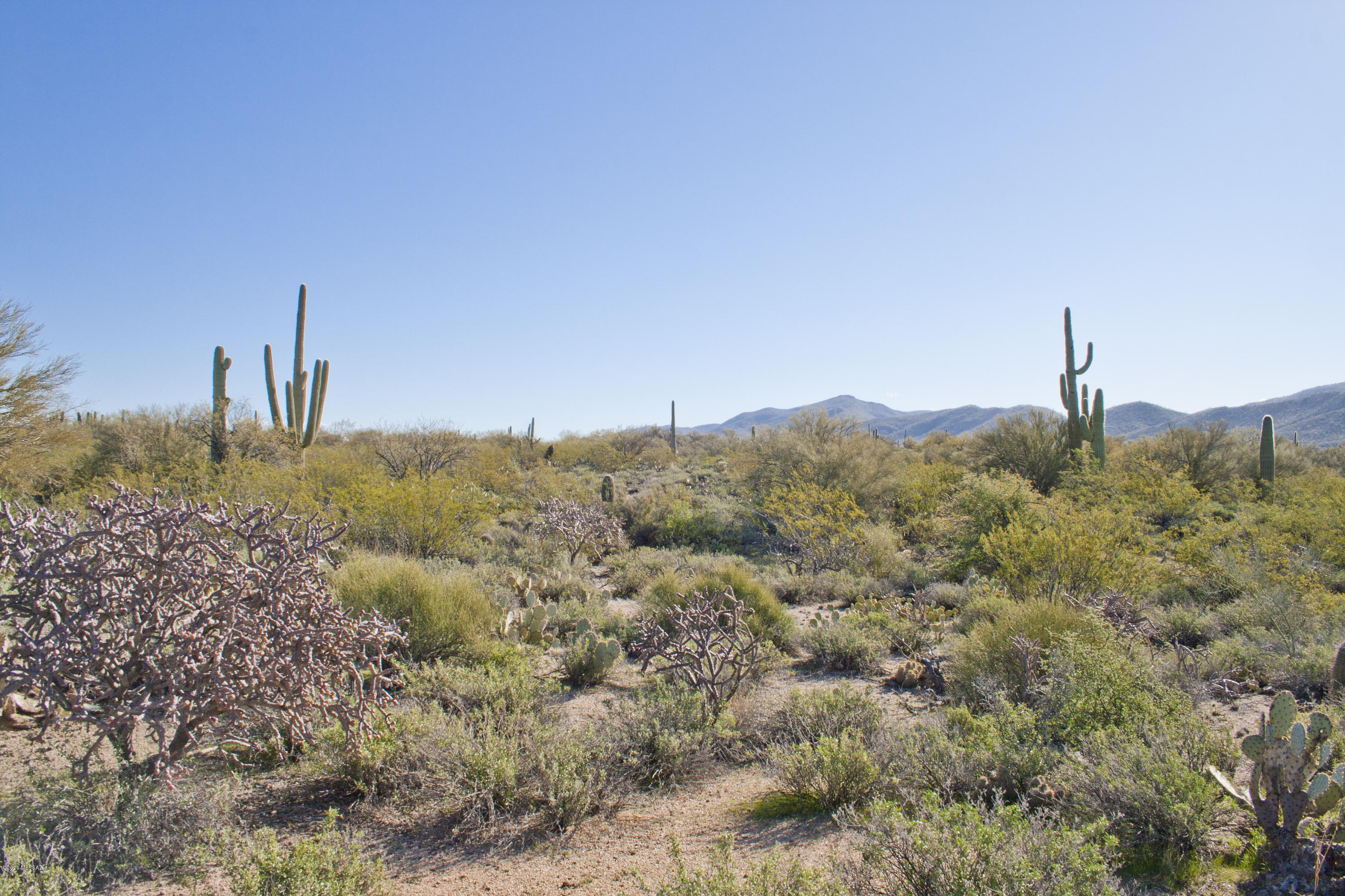0 South Deerfield Road Marana, AZ 85658 - Photo 17 of 26