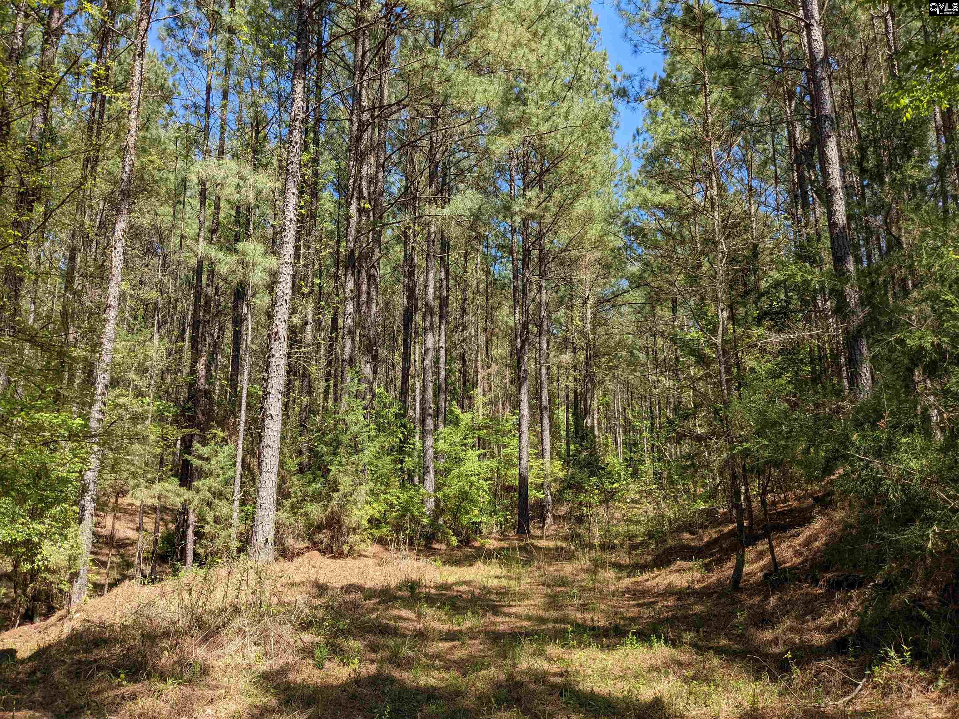 Old Hillcrest School Road Winnsboro, SC 29180 - Photo 27 of 95
