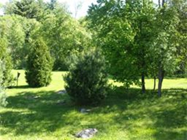 81 Bondsville Road Ludlow, MA 01056 - Photo 30 of 30 Gallery Image 30