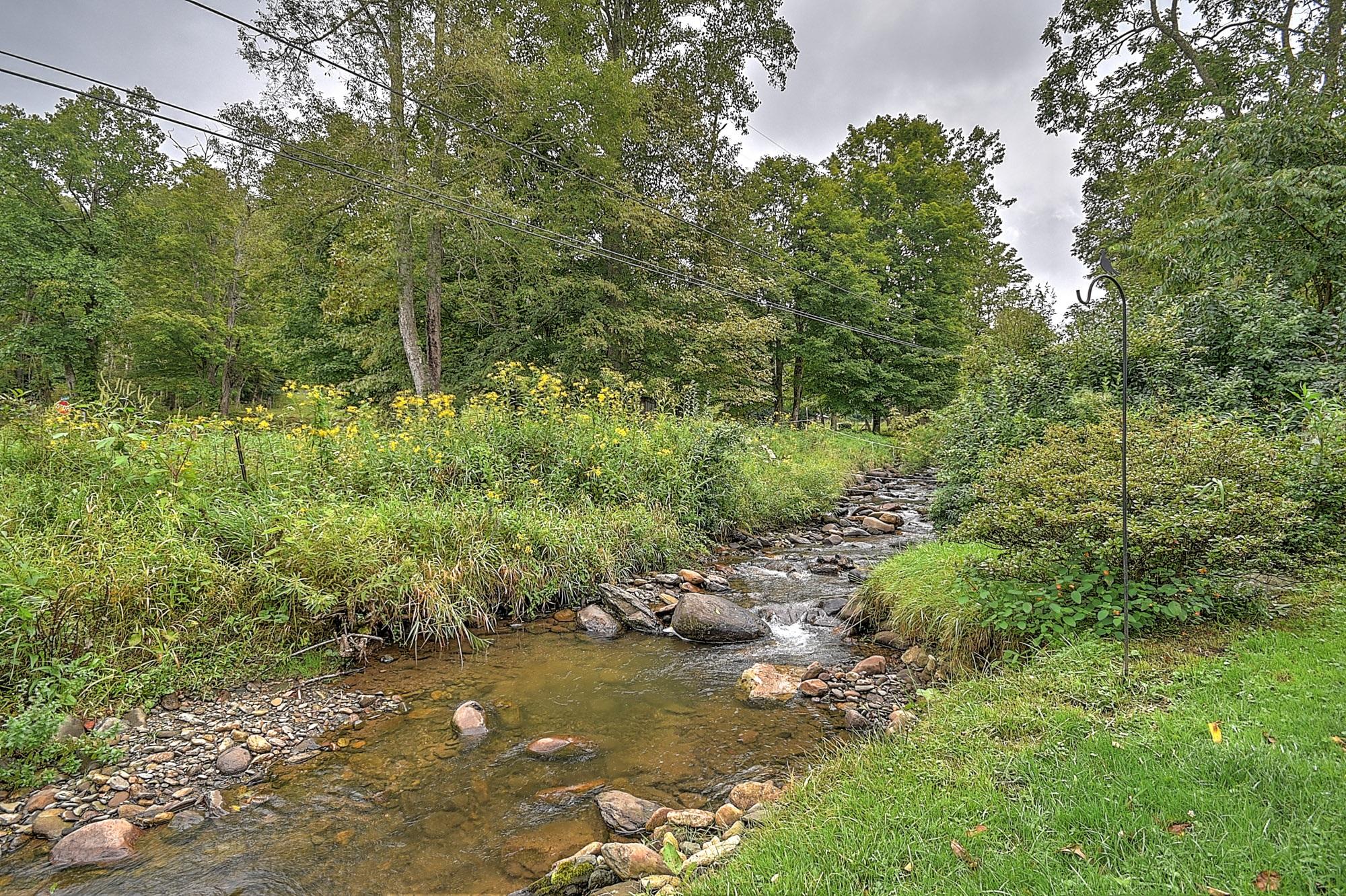 330 Heaton Ridge Road Roan Mountain, TN 37687 - Photo 41 of 93 330 Heaton-46