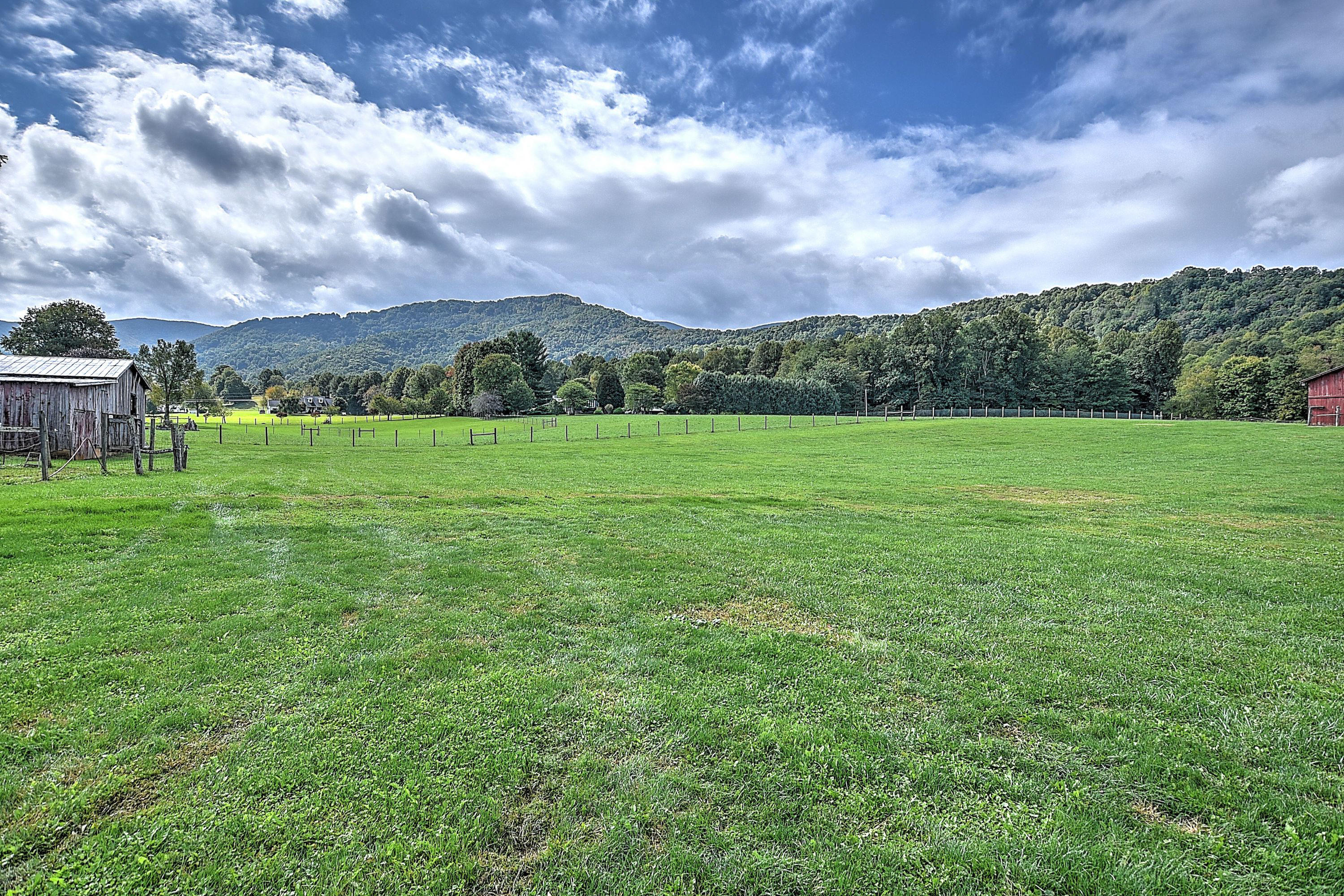 330 Heaton Ridge Road Roan Mountain, TN 37687 - Photo 54 of 93 330 Heaton Ridge