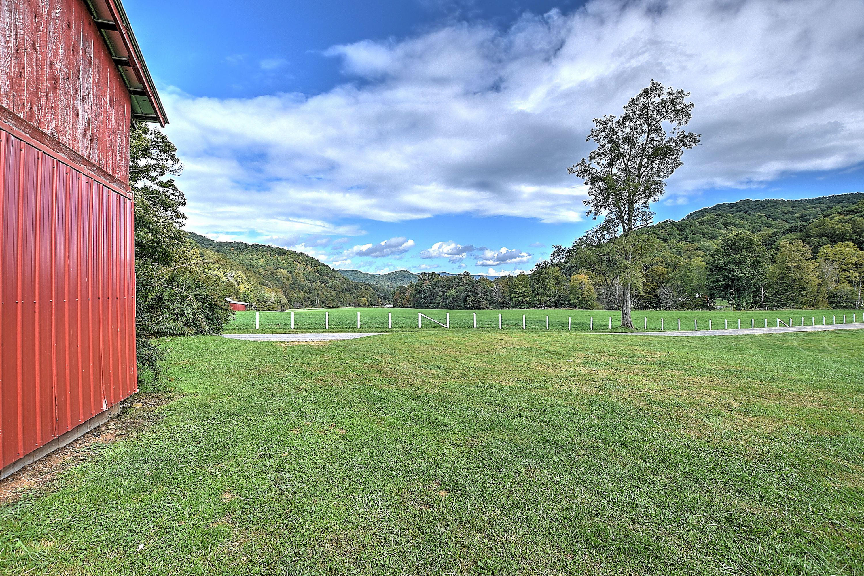 330 Heaton Ridge Road Roan Mountain, TN 37687 - Photo 63 of 93 330 Heaton Ridge-10