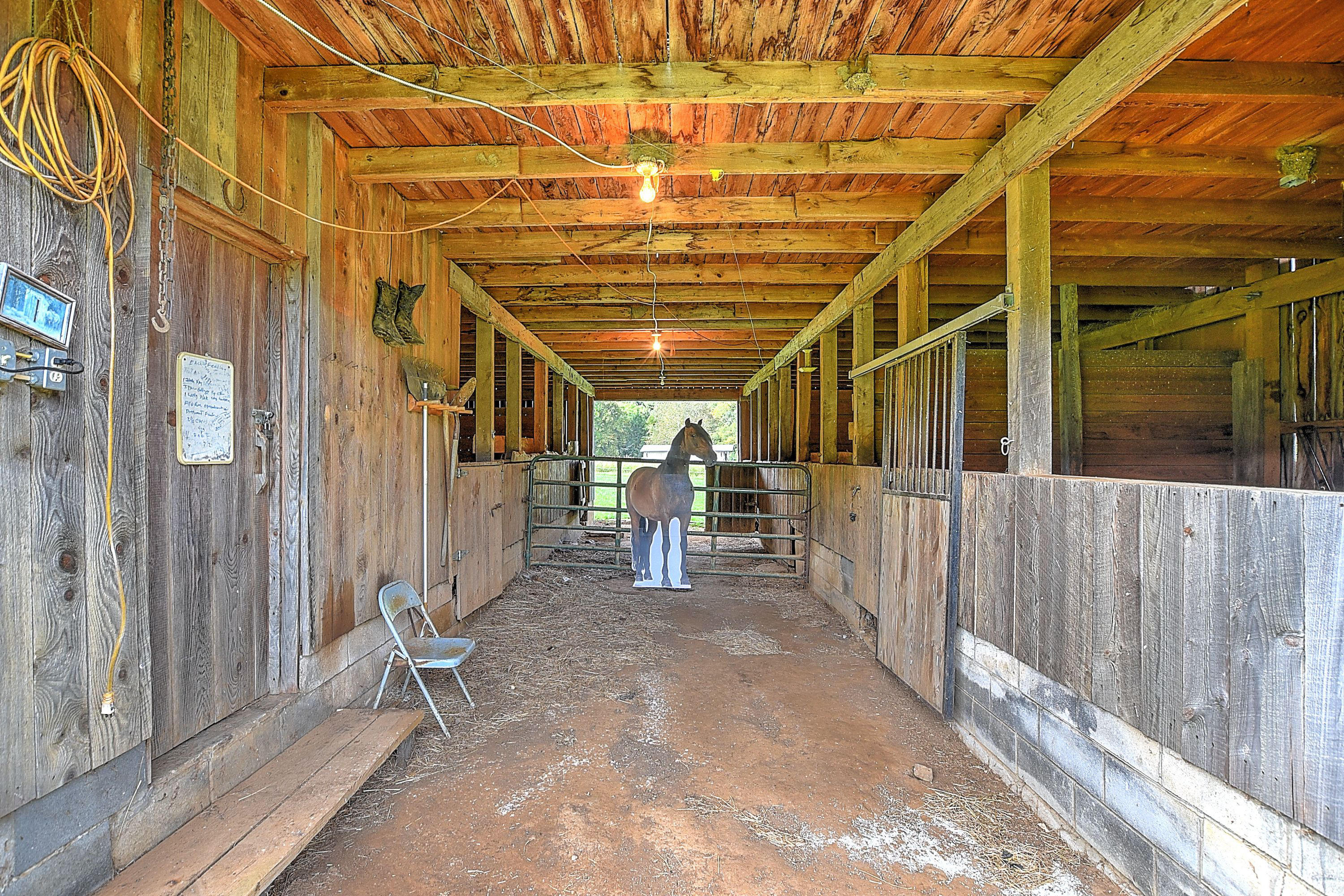 330 Heaton Ridge Road Roan Mountain, TN 37687 - Photo 64 of 93 330 Heaton Ridge-11