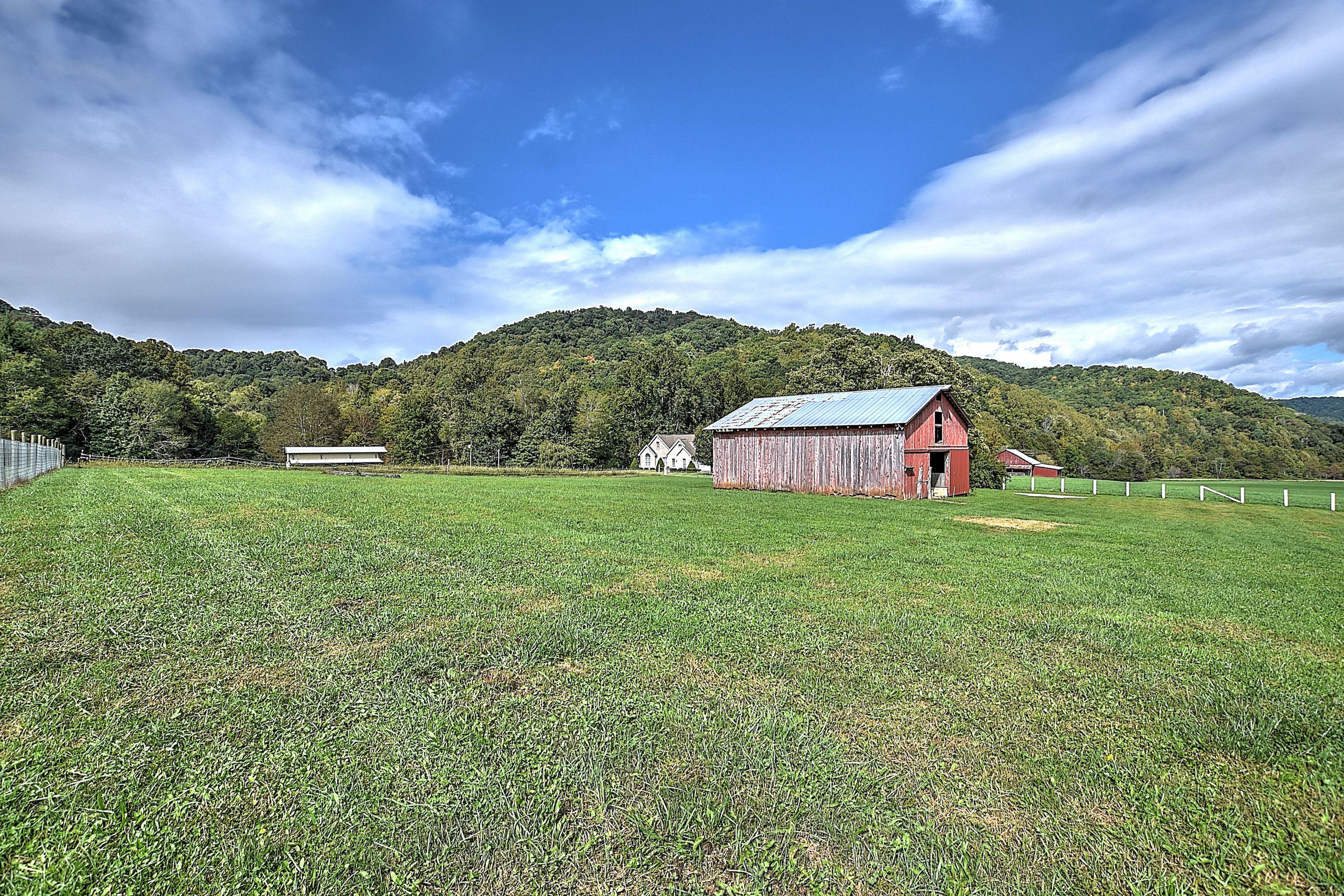 330 Heaton Ridge Road Roan Mountain, TN 37687 - Photo 70 of 93 330 Heaton Ridge-17