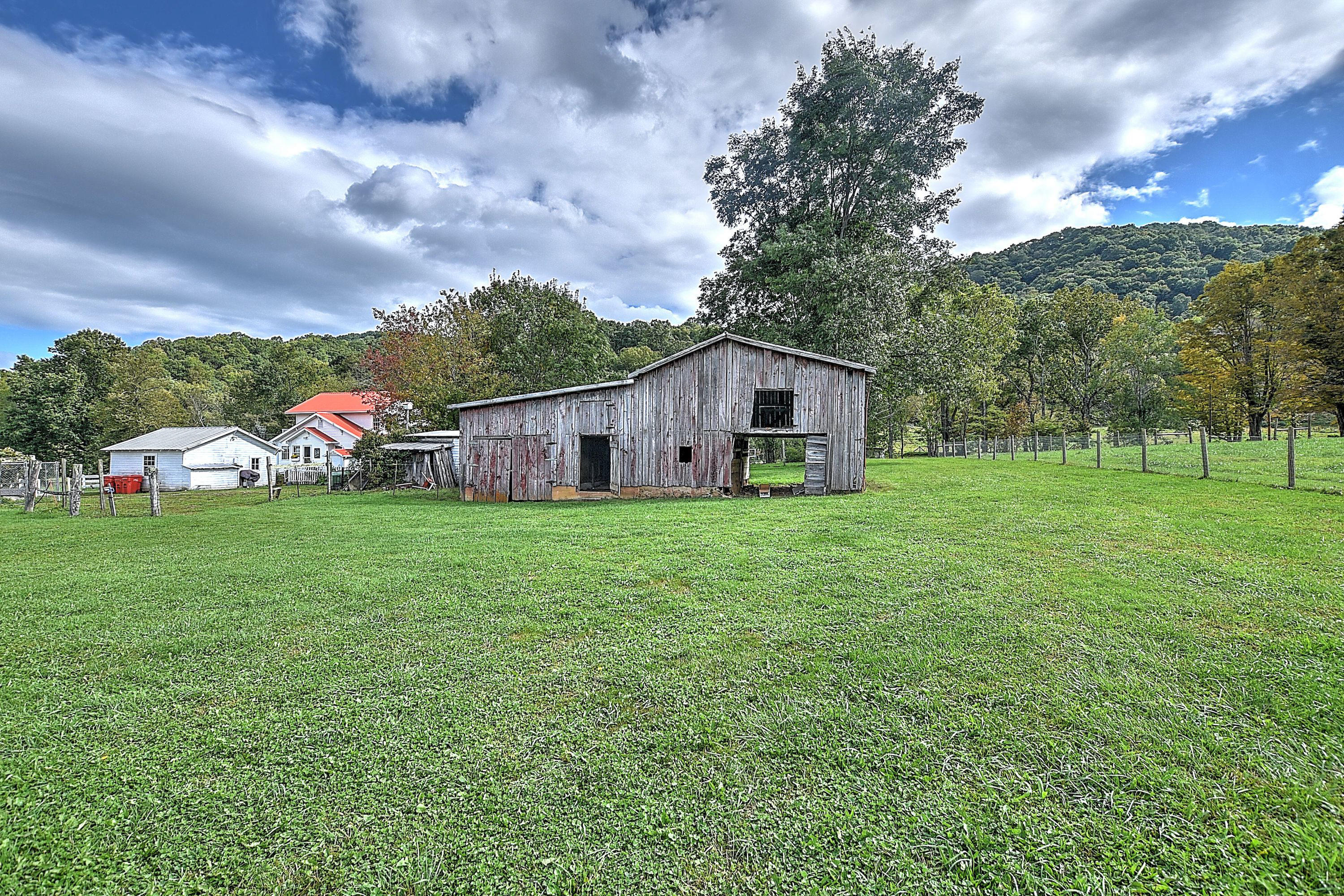 330 Heaton Ridge Road Roan Mountain, TN 37687 - Photo 73 of 93 330 Heaton Ridge-20