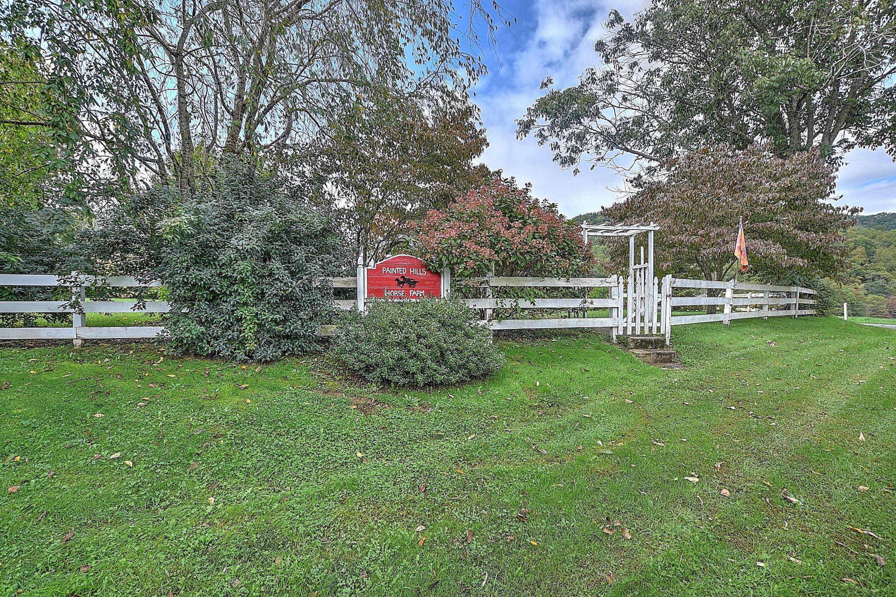 330 Heaton Ridge Road Roan Mountain, TN 37687 - Photo 87 of 93 330 Heaton Ridge-36