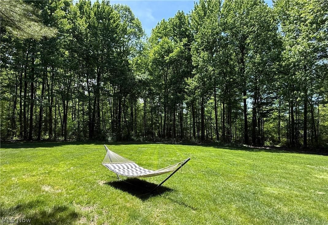 2252 Valley Wood Road Akron, OH 44333 - Photo 7 of 50 Back Yard