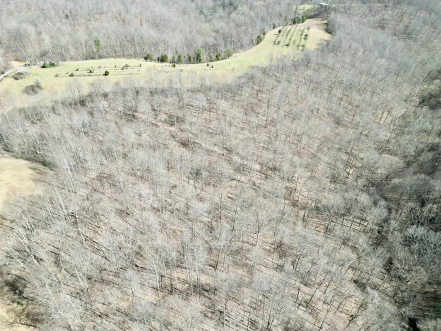 a view of a dry yard with wooden floor and fence