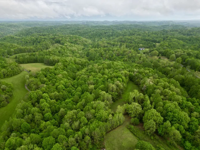 an aerial view of residential houses with outdoor space and trees