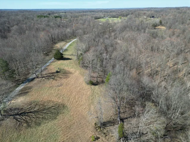 a view of a yard with an trees
