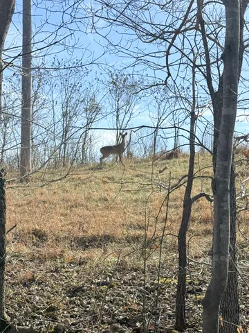 a view of a field and mountains in the background
