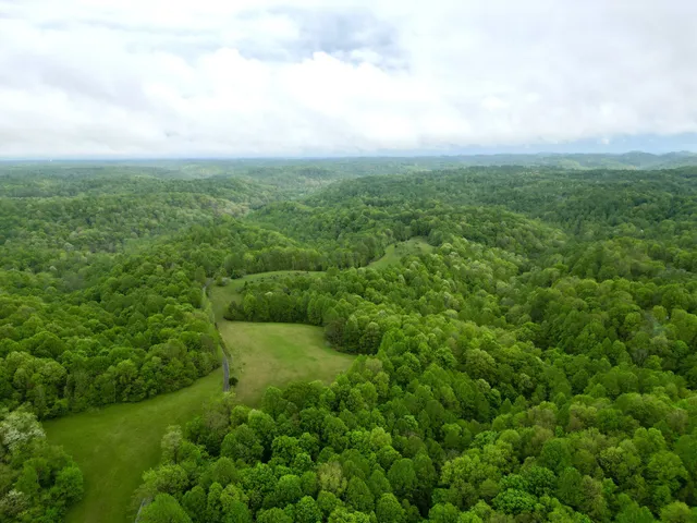 an aerial view of houses covered in trees