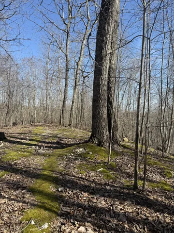 a view of a yard with wooden fence