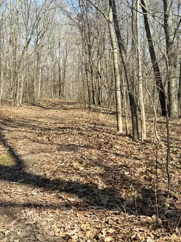 a view of a yard with a tree