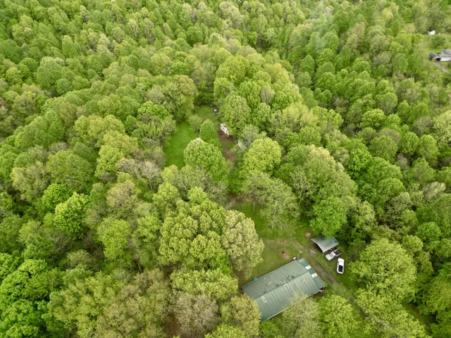 a view of a green field with lots of bushes
