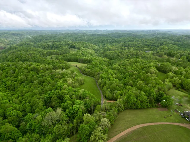 a view of a green field with lots of bushes