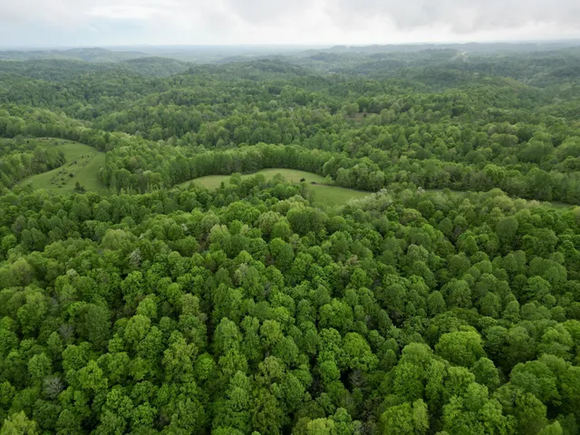 a backyard of a house with lots of green space