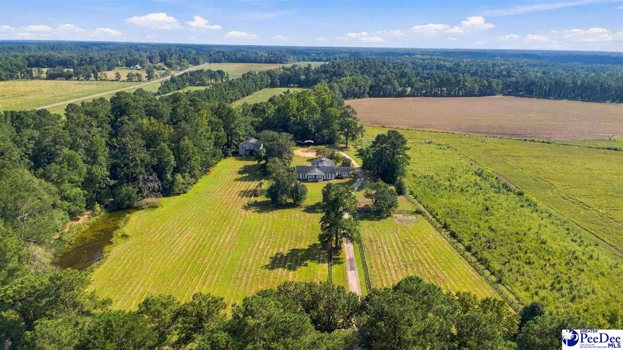 4173 Bluff Road Marion, SC 29571 - Photo 61 of 71 Gallery Image 61
