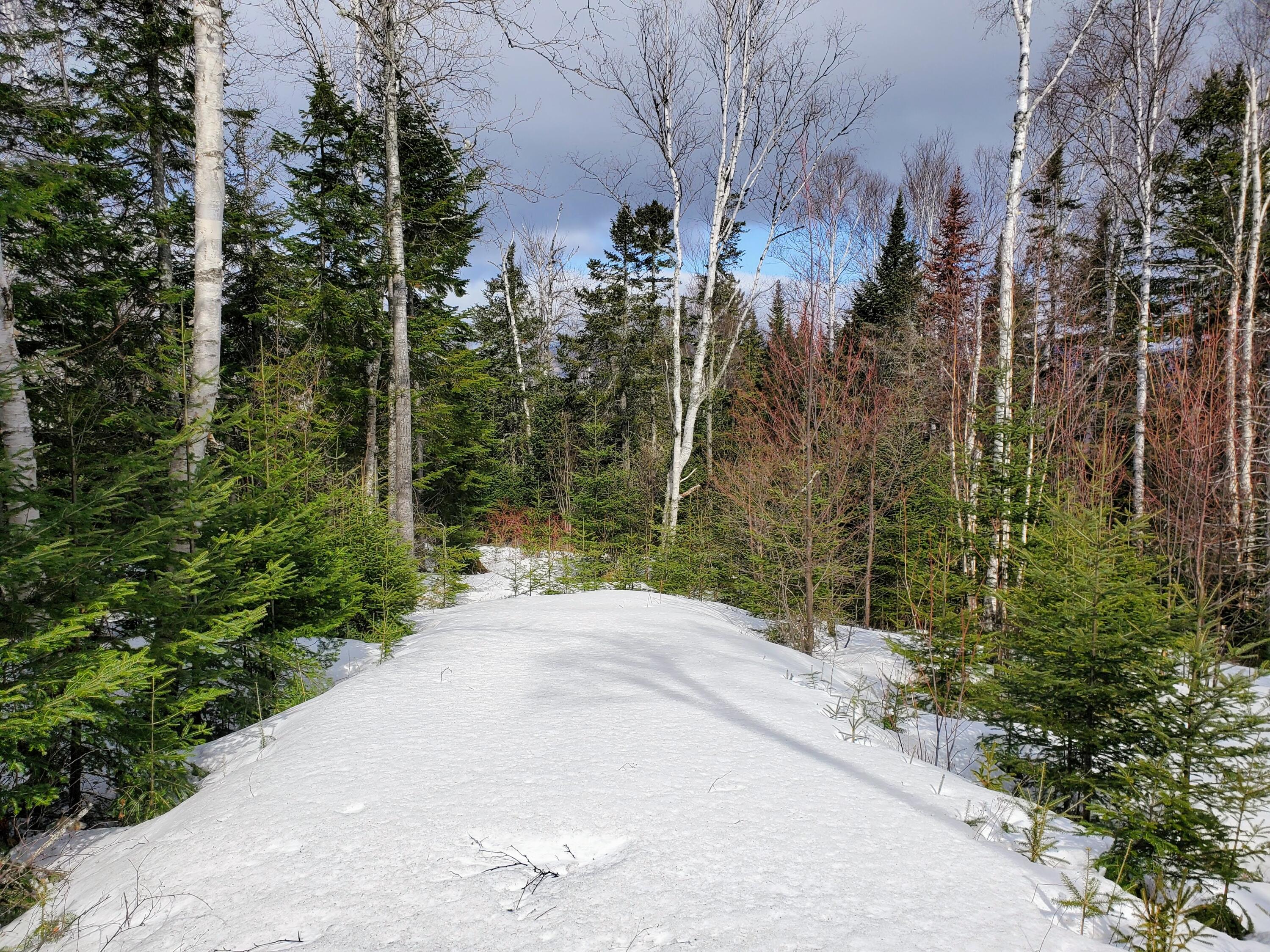2 Map Road Dallas Plt, ME 04970 - Photo 4 of 10 Map 2 Lot 25-17