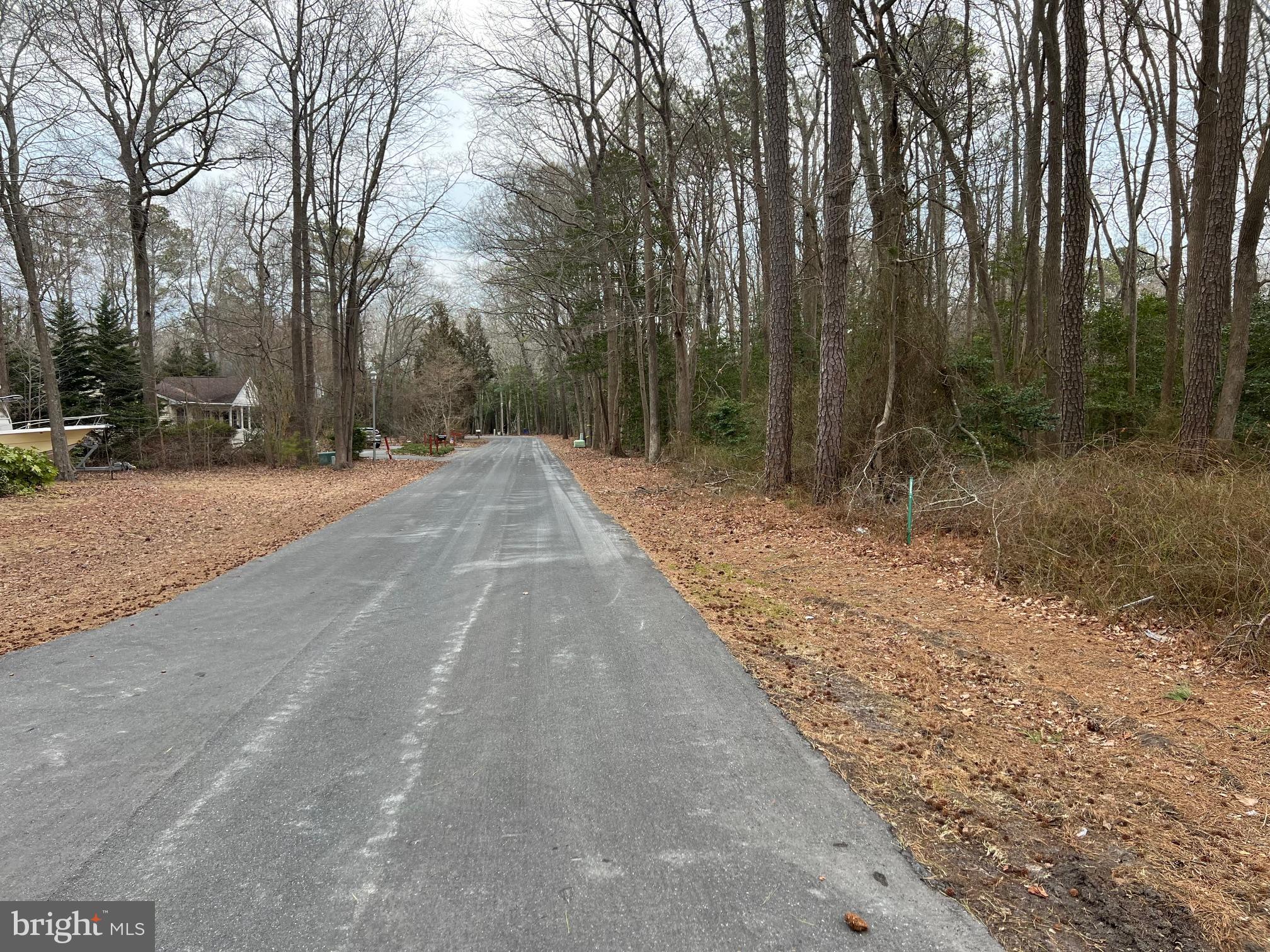 17 Kent Avenue Ocean View, DE 19970 - Photo 2 of 4 a view of a backyard with trees