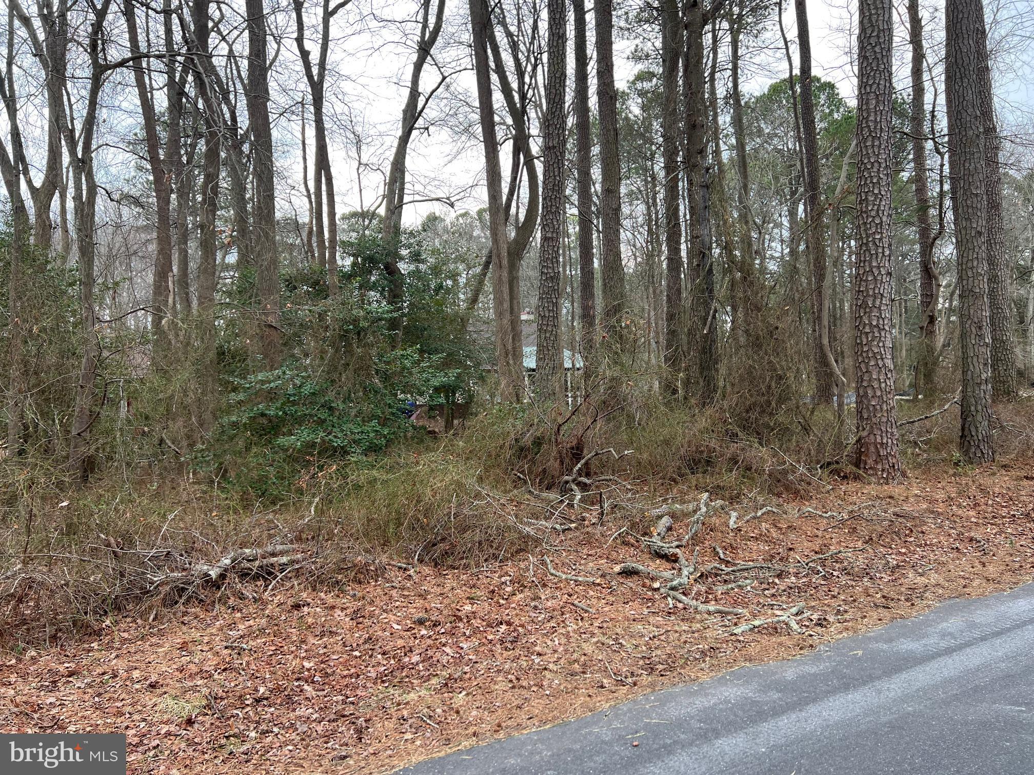 17 Kent Avenue Ocean View, DE 19970 - Photo 4 of 4 a view of outdoor space with trees