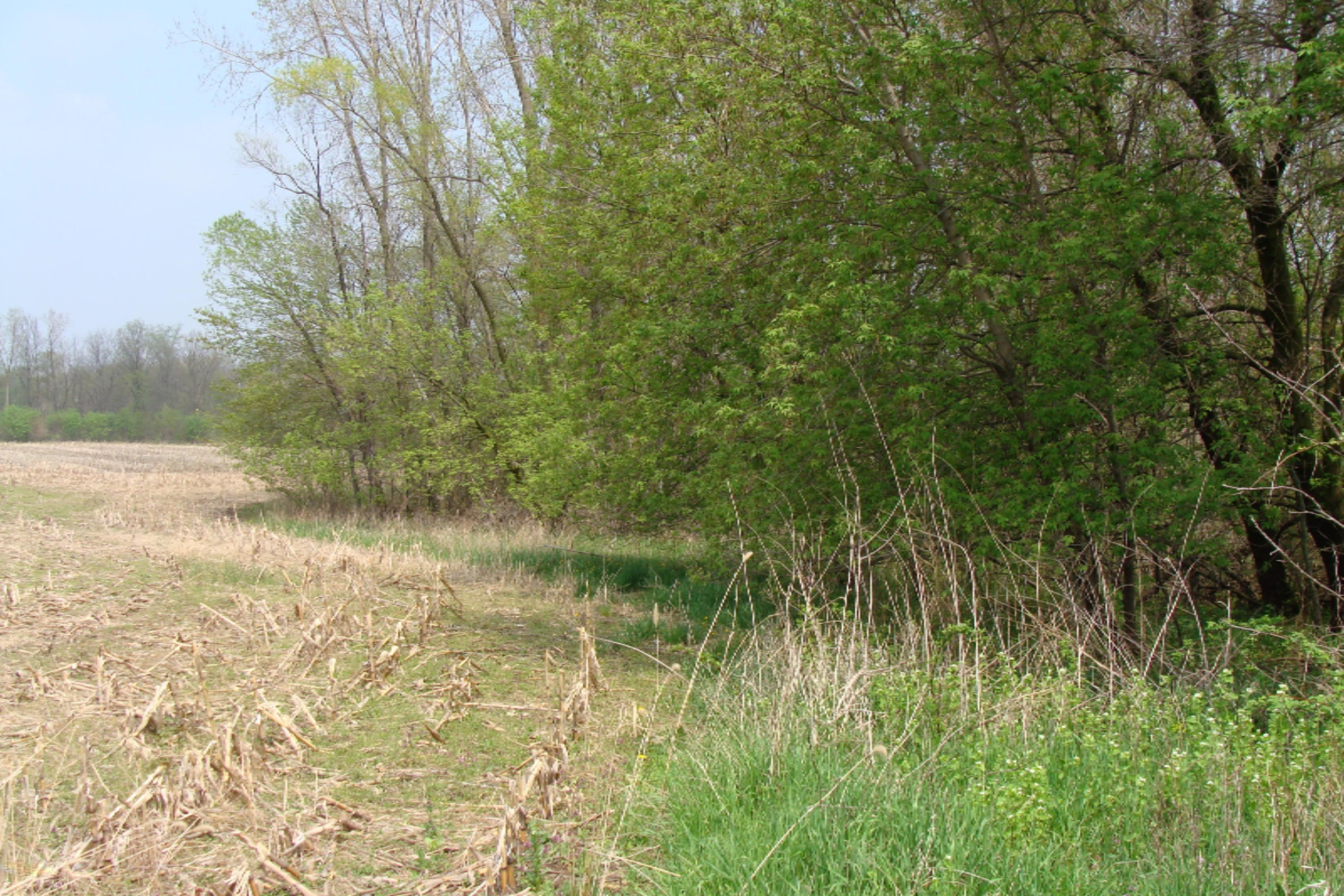 252 Clizbe Road Quincy, MI 49082 - Photo 4 of 20 DSC00293