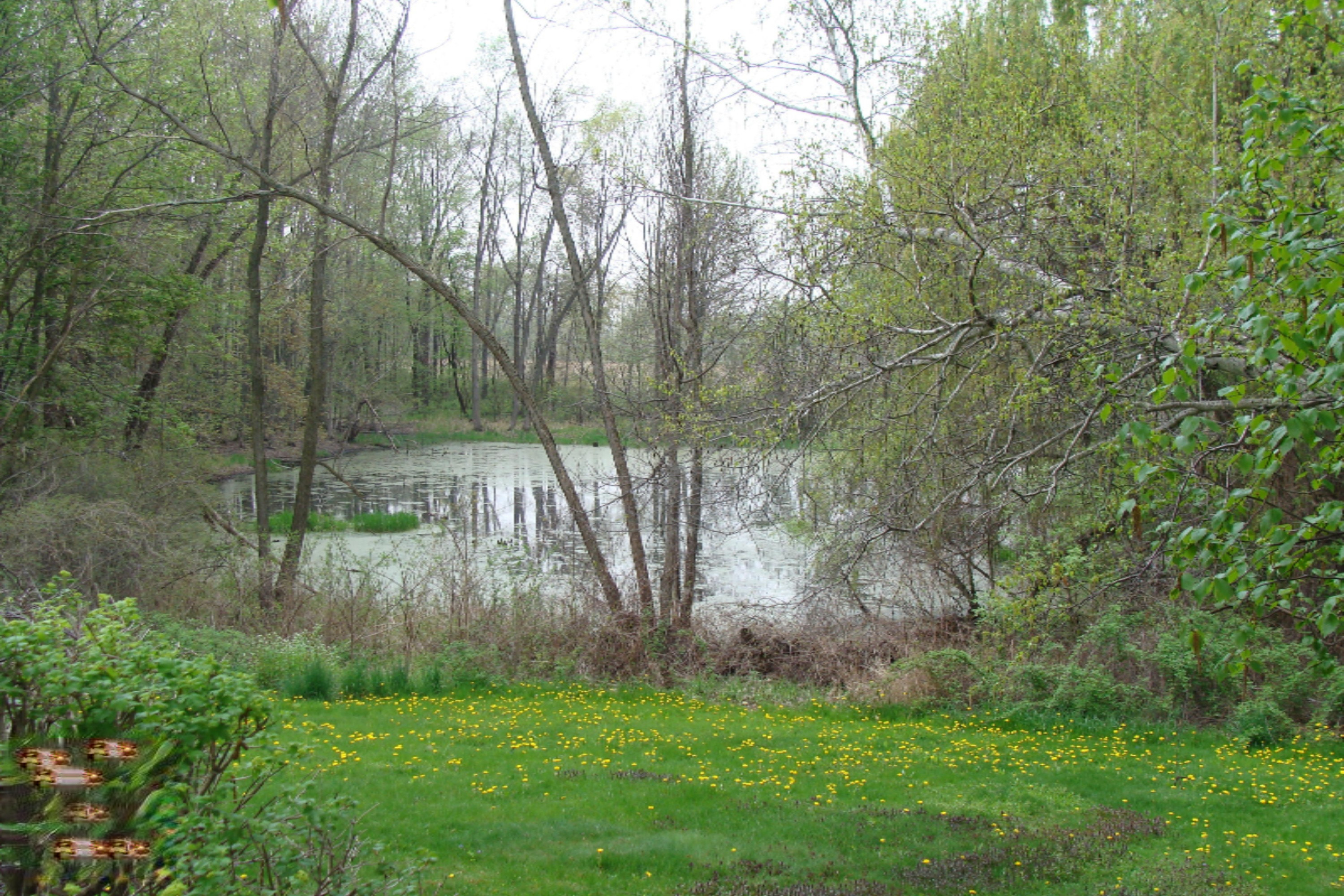 252 Clizbe Road Quincy, MI 49082 - Photo 5 of 20 DSC00283