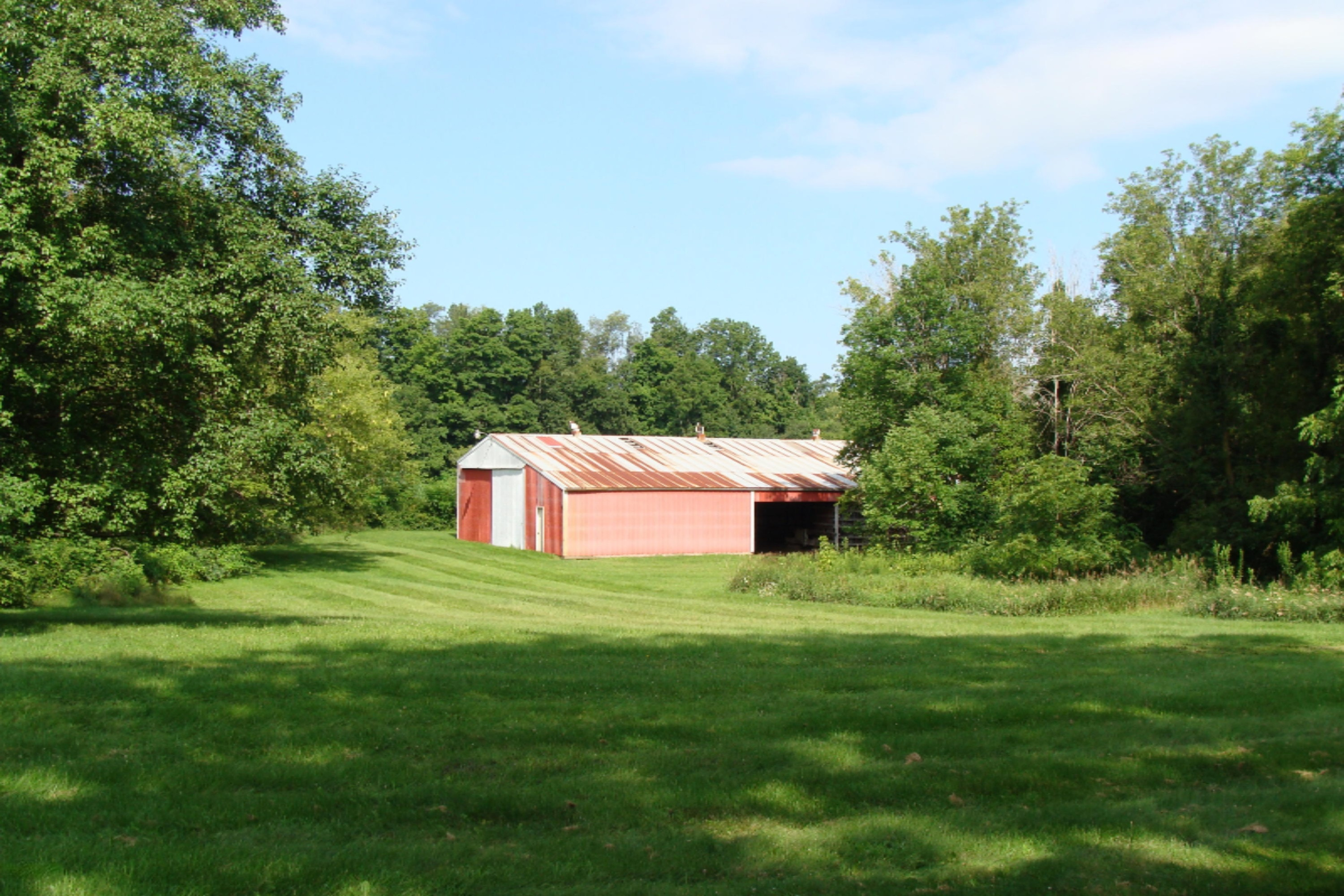 252 Clizbe Road Quincy, MI 49082 - Photo 6 of 20 DSC01176