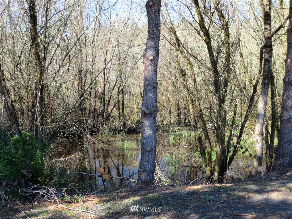 -xxd Columbia Point Road Longview, WA 98632 - Photo 9 of 12