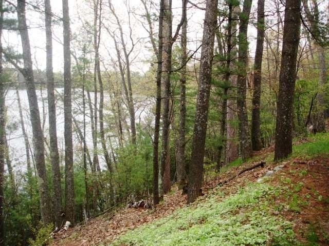 1551 Vaughn Road Eagle River, WI 54521 - Photo 4 of 20 Gallery Image 4