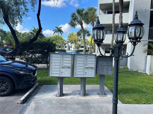 a view of a backyard with palm trees