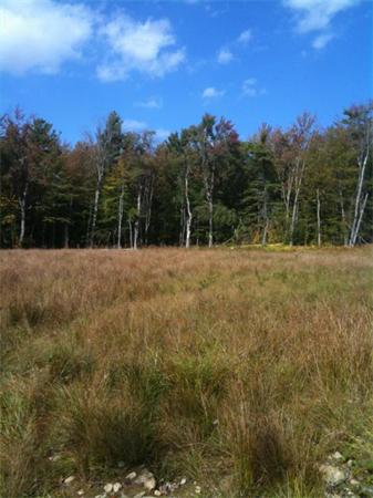 0 Jacobs Ladder Road Becket, MA 01223 - Photo 1 of 1 a view of outdoor space with green field and trees