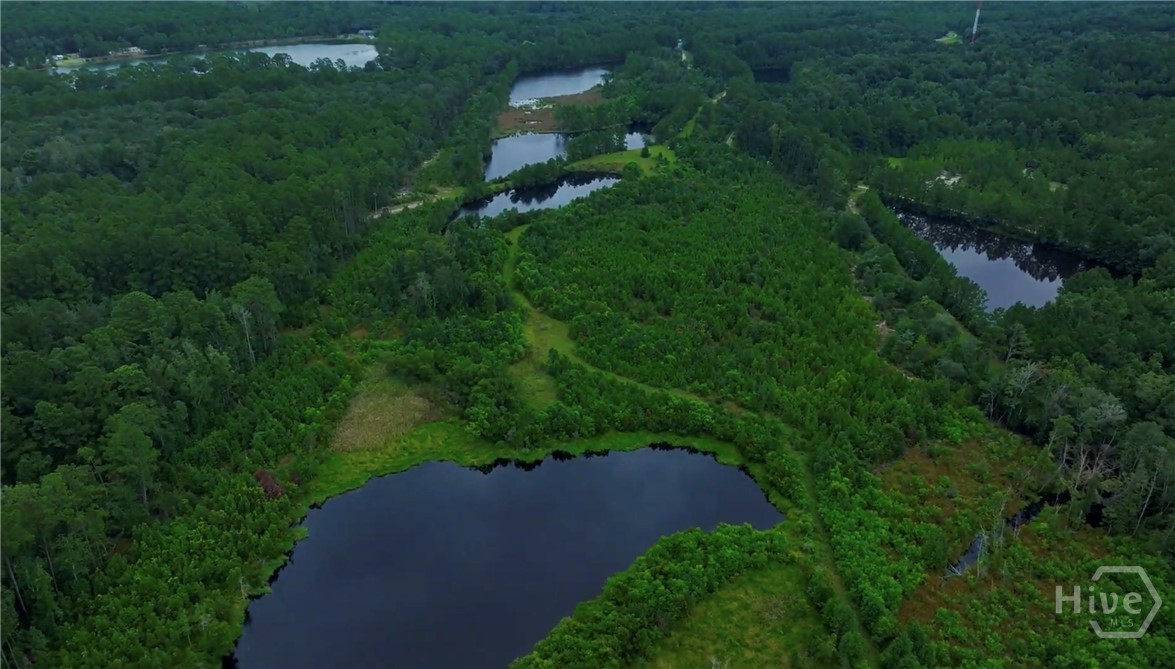 0 Fort Argyle Road Savannah, GA 31419 - Photo 2 of 9