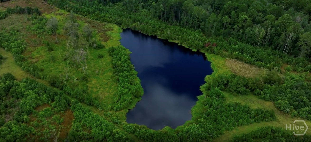 0 Fort Argyle Road Savannah, GA 31419 - Photo 4 of 9