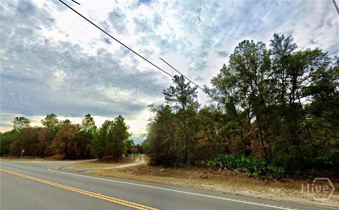 0 Fort Argyle Road Savannah, GA 31419 - Photo 5 of 9