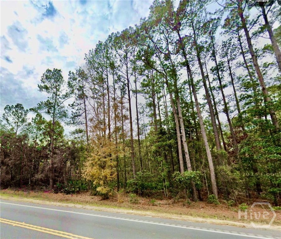 0 Fort Argyle Road Savannah, GA 31419 - Photo 6 of 9