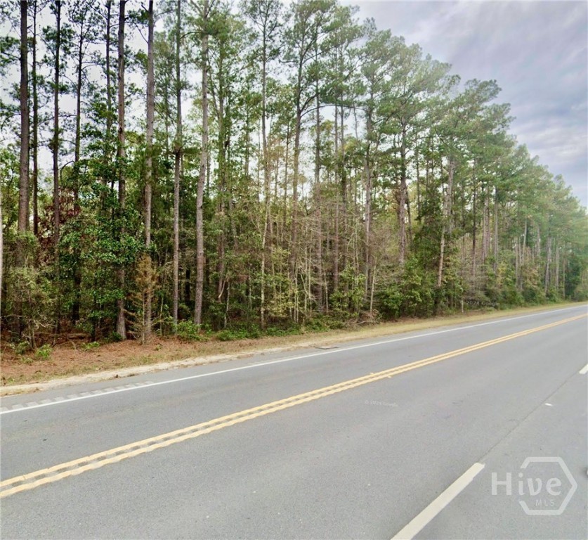 0 Fort Argyle Road Savannah, GA 31419 - Photo 7 of 9
