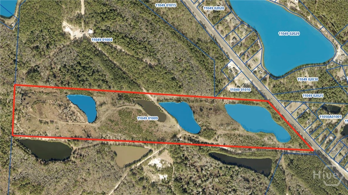 0 Fort Argyle Road Savannah, GA 31419 - Photo 8 of 9