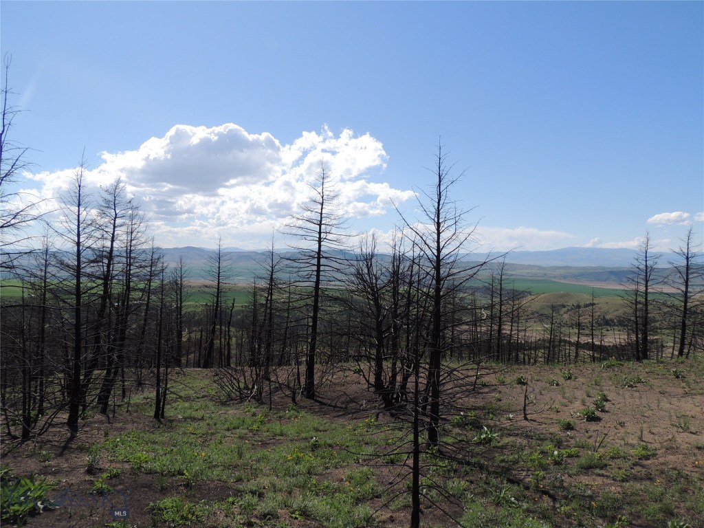 Lot 74 Pioneer Road Three Forks, MT 59752 - Photo 1 of 1 Gallery Image 1