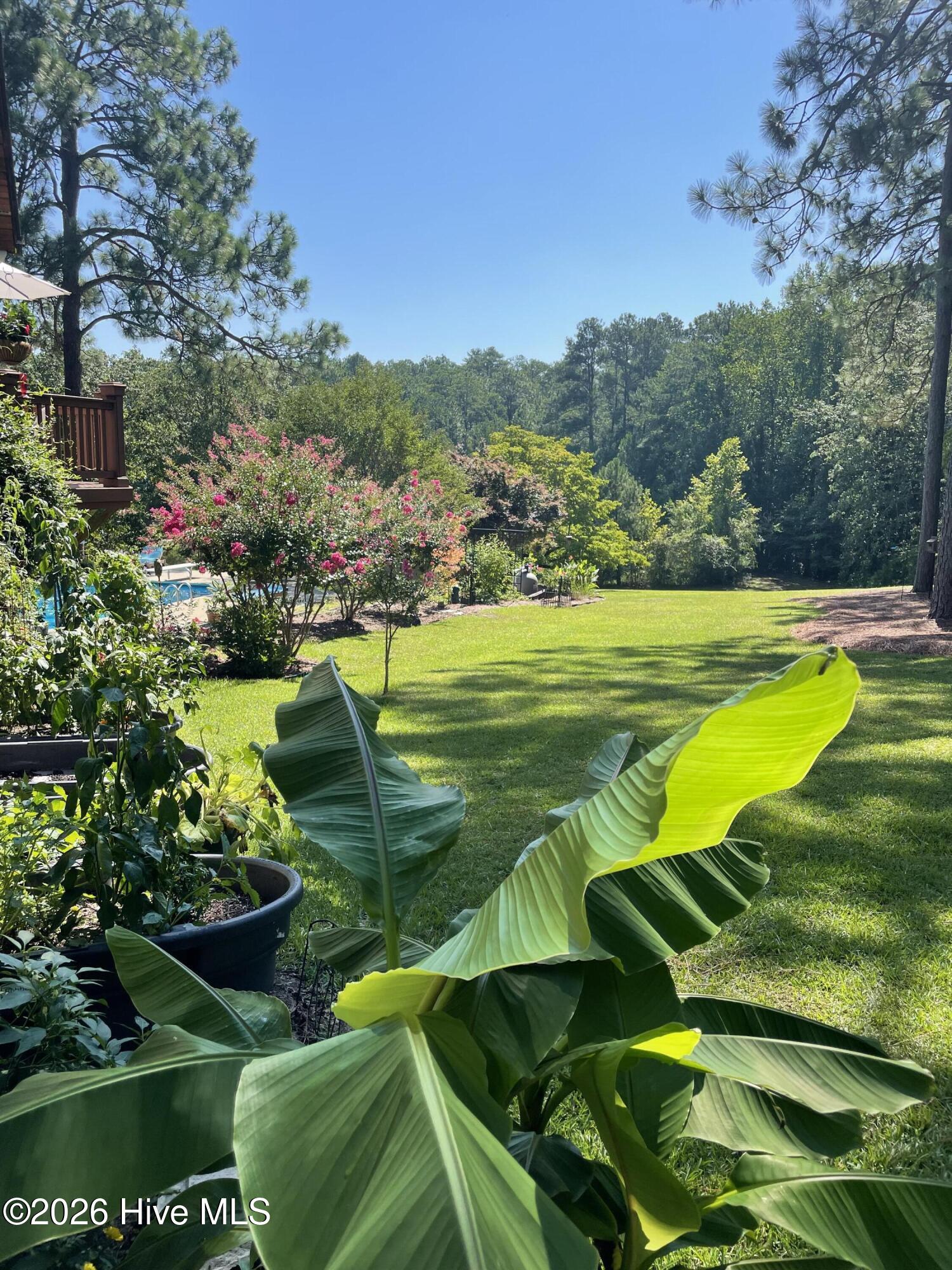 184 Weaver Road Aberdeen, NC 28315 - Photo 47 of 50
