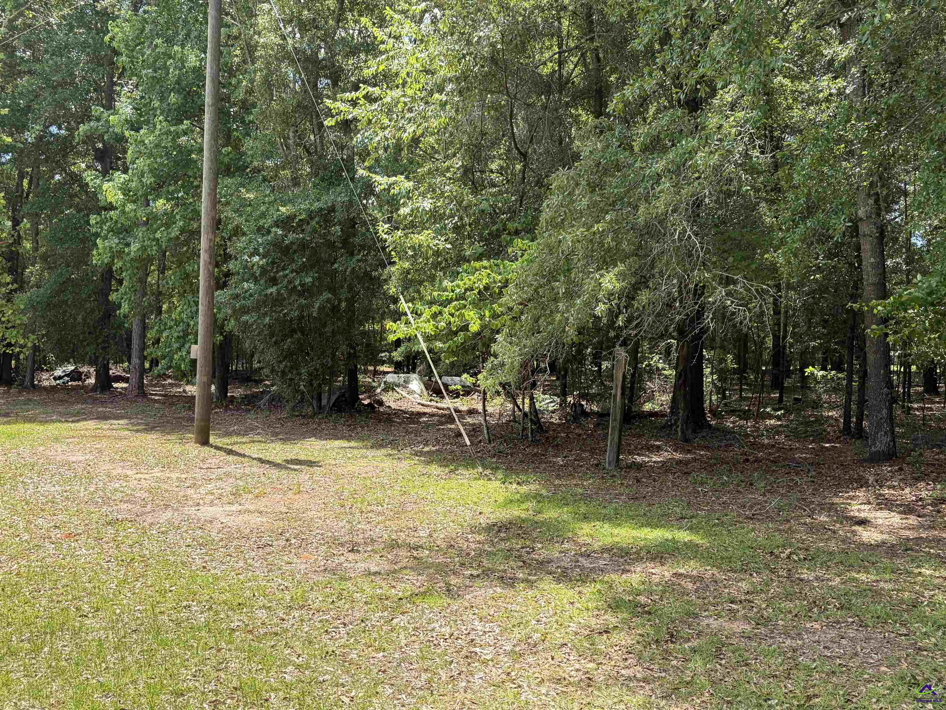 2950 Fountainville Road Andersonville, GA 31711 - Photo 9 of 19